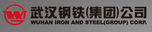 Wuhan Iron and Steel